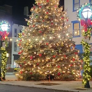 Meet your Posher, Bill